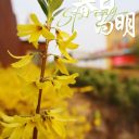 春滿校園，花開如詩！邂逅最美校園！