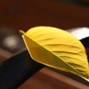 一鍵收藏！邂逅青島為明學(xué)校初冬的燦爛校園?。ㄒ唬? /></a></li>
                        <li id=